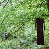 Noller Schlucht  im Teutoburger Wald